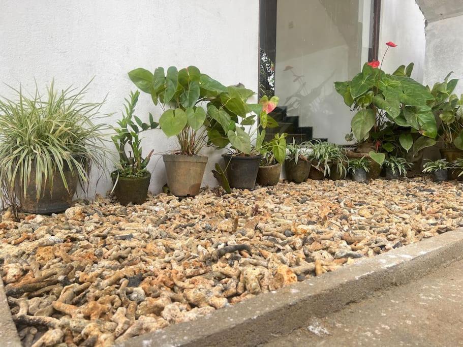 Plantation Inn فيليغاما المظهر الخارجي الصورة